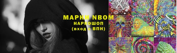 крисы Новозыбков