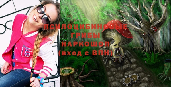 ПСИЛОЦИБИНОВЫЕ ГРИБЫ Новокубанск