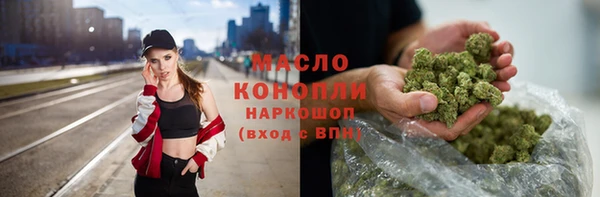 крисы Новозыбков
