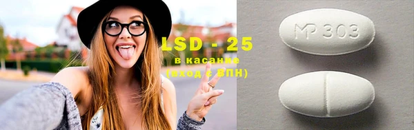 крисы Новозыбков