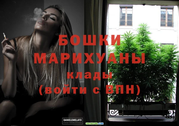 ПСИЛОЦИБИНОВЫЕ ГРИБЫ Новокубанск