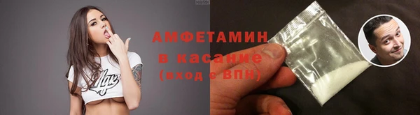 крисы Новозыбков