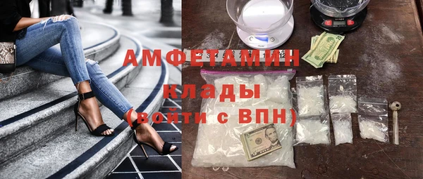 крисы Новозыбков