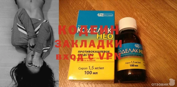 крисы Новозыбков