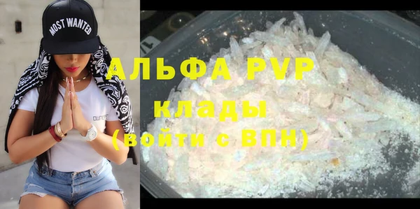 крисы Новозыбков