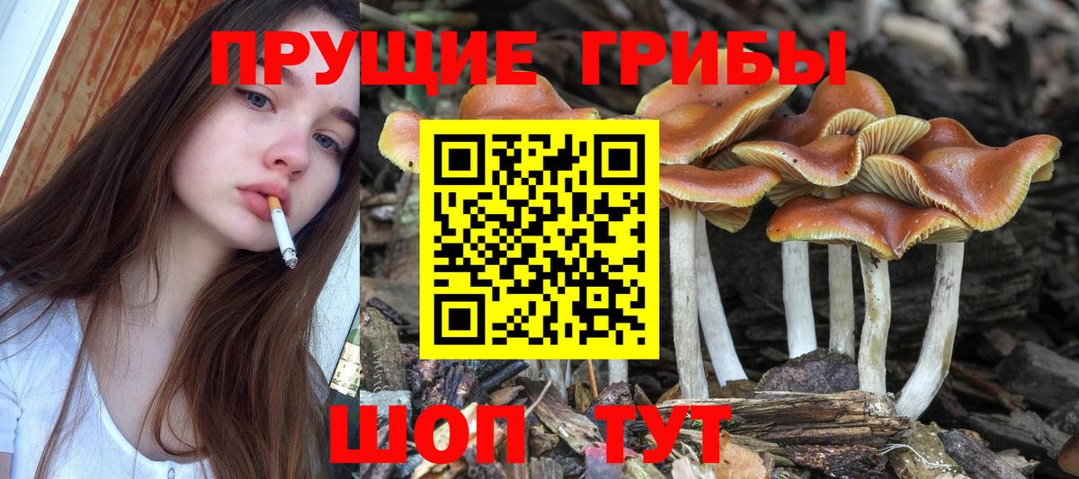 Кумертау  Галлюциногенные грибы Psilocybe  Вход с VPN  Псилоцибиновые грибы Cubensis 